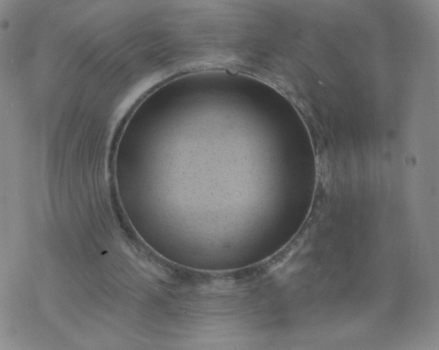 X0000076220196200610122058