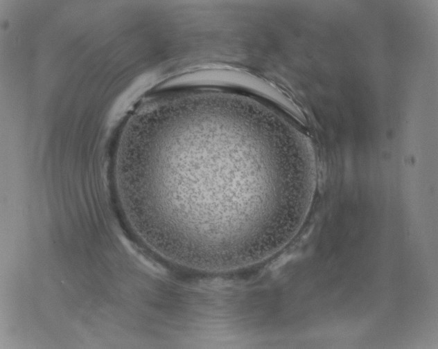 X0000076220197200610122058