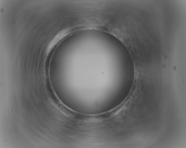 X0000076220198200610122058