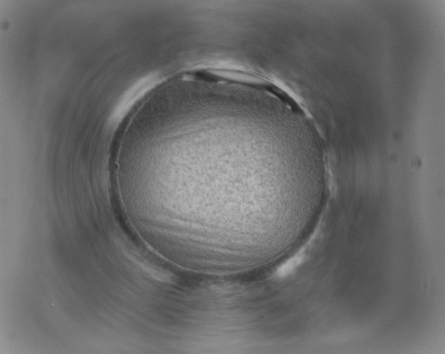 X0000076220199200610122058