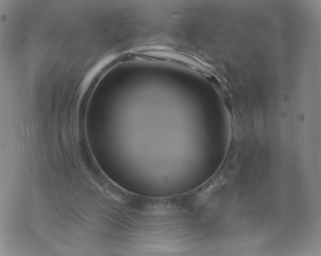 X0000076220200200610122058