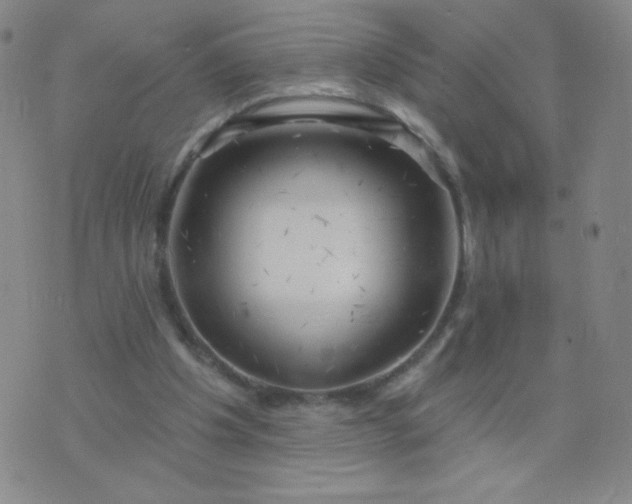 X0000076220201200610122058