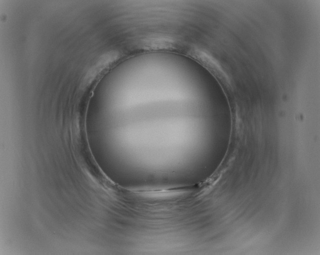 X0000076220202200610122058