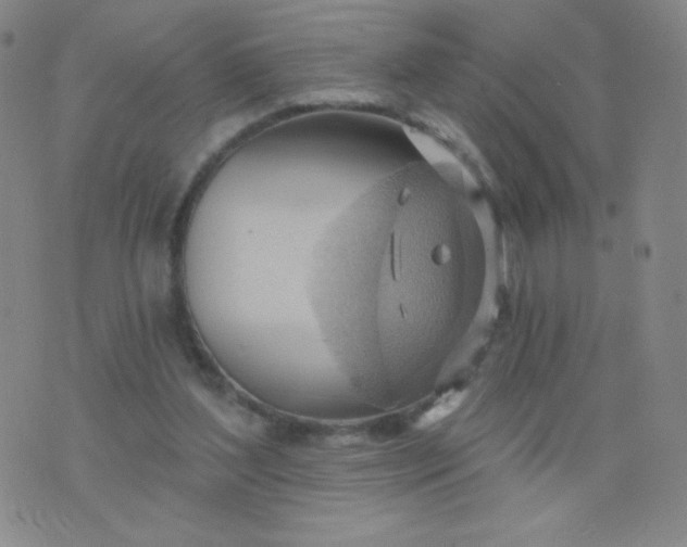 X0000076220204200610122058