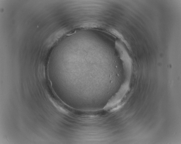 X0000076220205200610122058