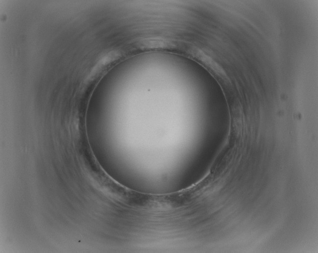 X0000076220207200610122058