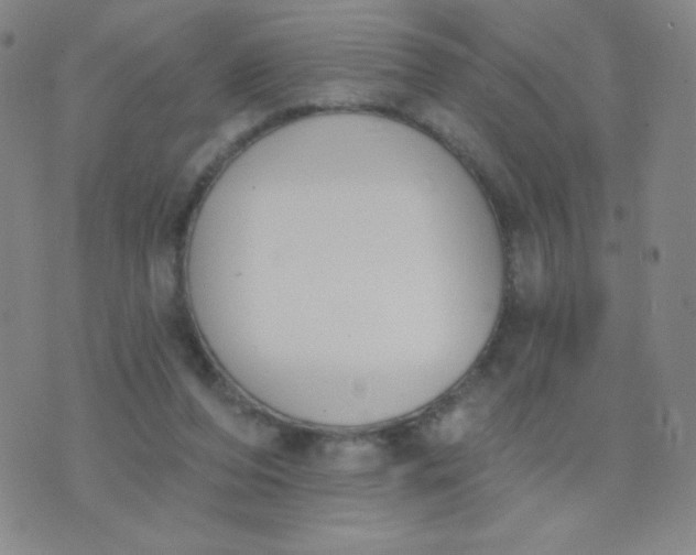 X0000076220208200610122058