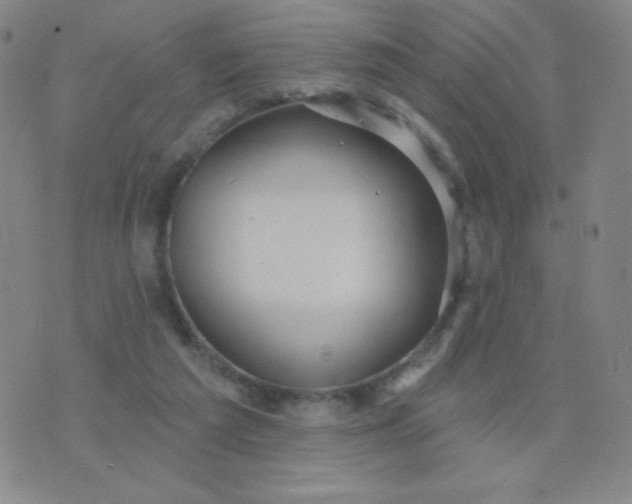 X0000076220209200610122058