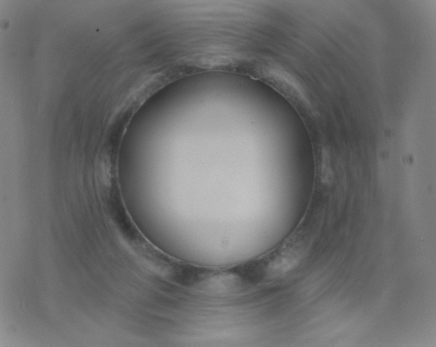 X0000076220210200610122058