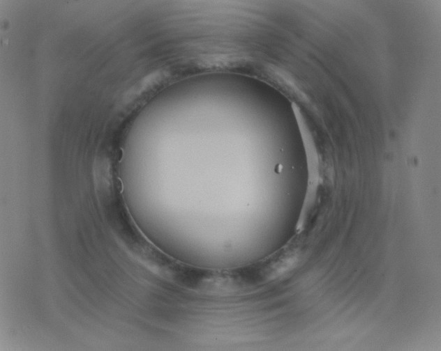 X0000076220211200610122058