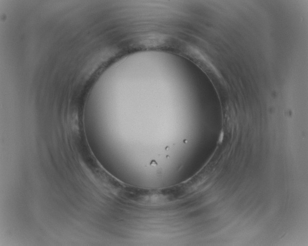 X0000076220212200610122058