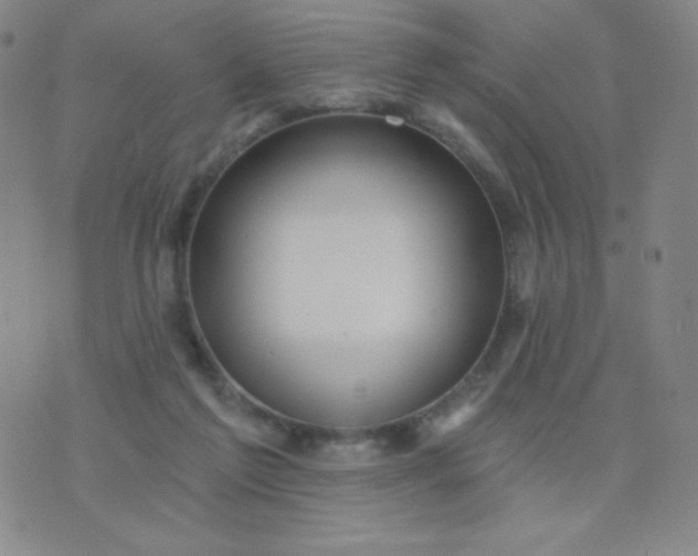 X0000076220213200610122058