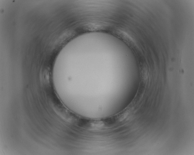 X0000076220214200610122058