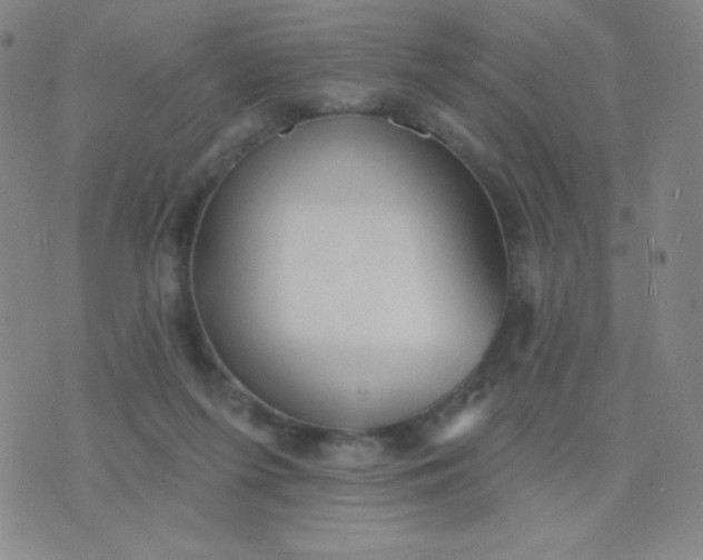 X0000076220215200610122058