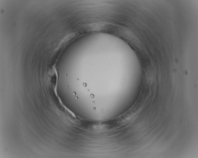 X0000076220216200610122058