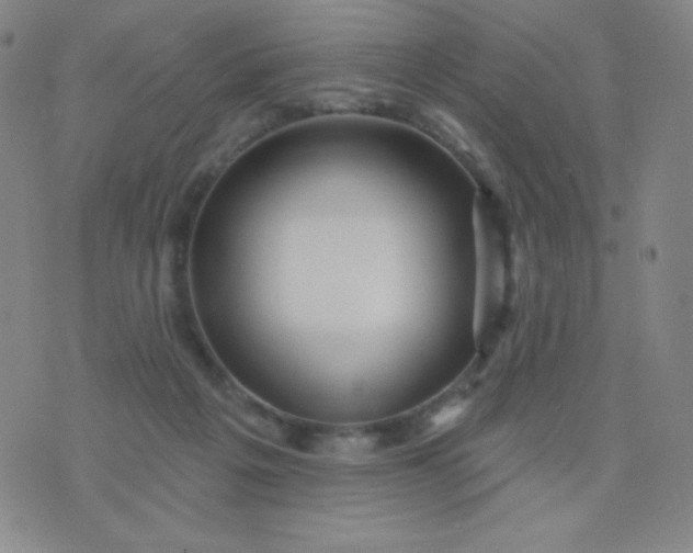 X0000076220217200610122058