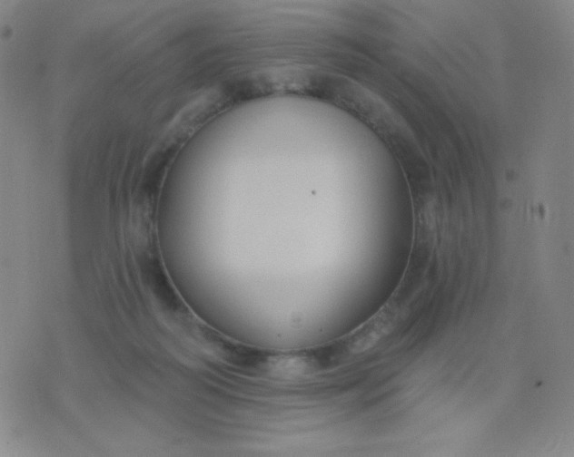 X0000076220218200610122058