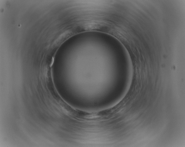 X0000076220219200610122058