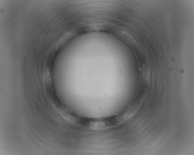 X0000076220220200610122058