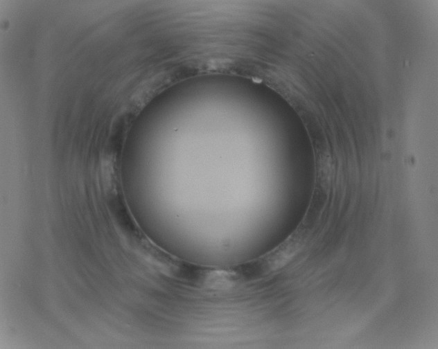 X0000076220222200610122058