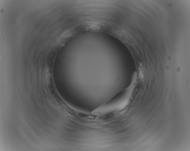 X0000076220223200610122058