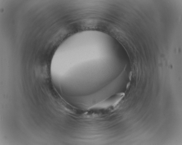 X0000076220224200610122058