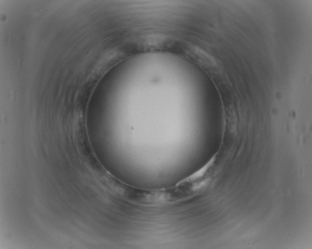 X0000076220225200610122058