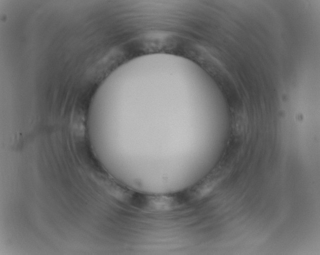 X0000076220226200610122058