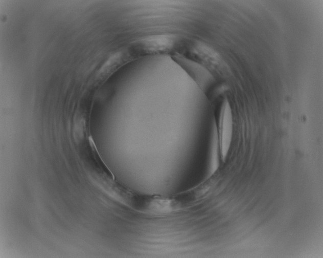 X0000076220227200610122058