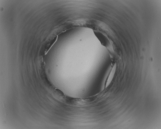 X0000076220229200610122058