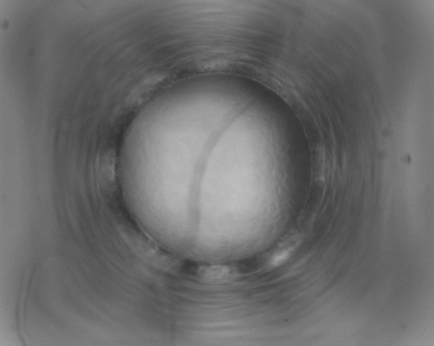 X0000076220230200610122058