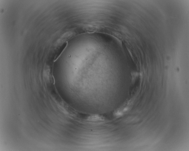 X0000076220231200610122058