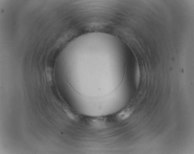 X0000076220232200610122058