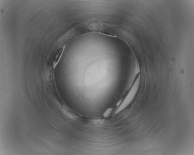 X0000076220233200610122058