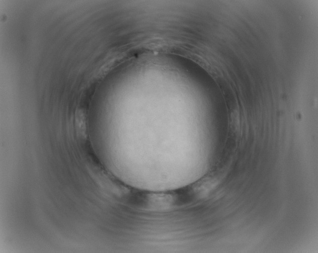 X0000076220234200610122058