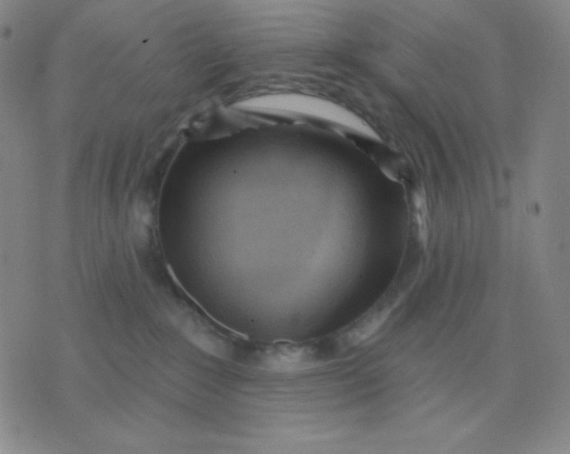 X0000076220235200610122058