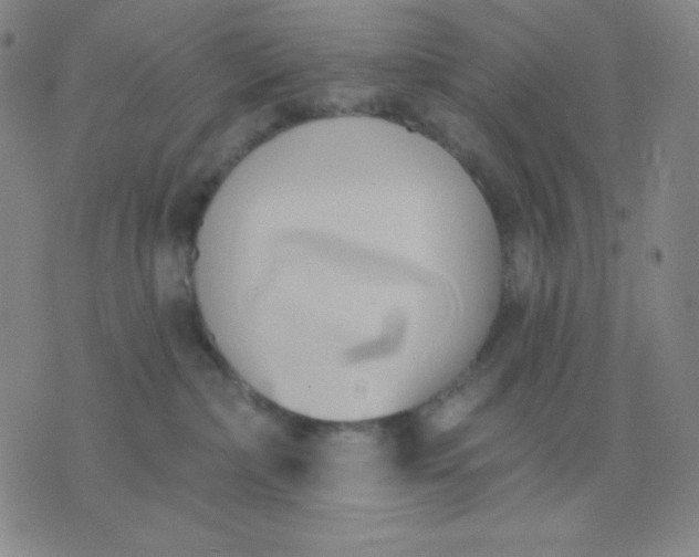 X0000076220236200610122058