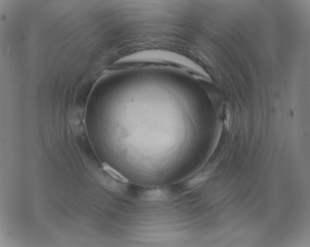 X0000076220237200610122058