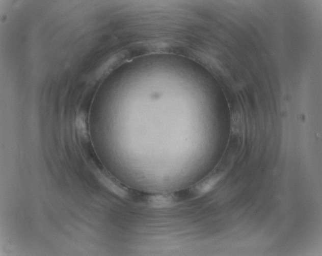 X0000076220238200610122058