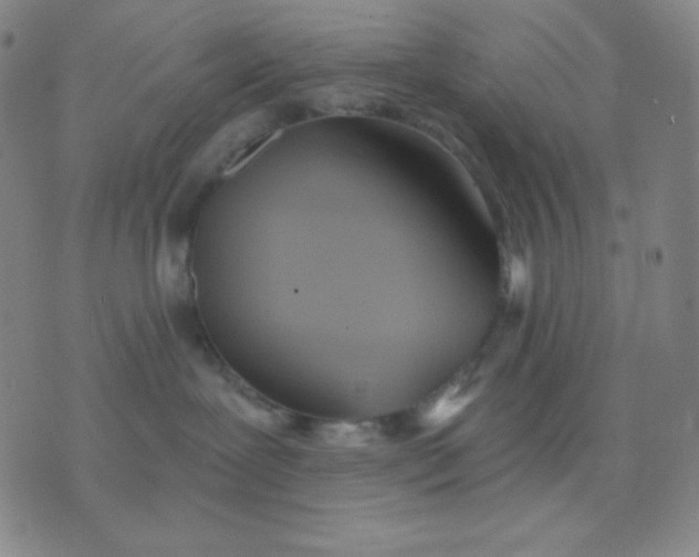 X0000076220239200610122058