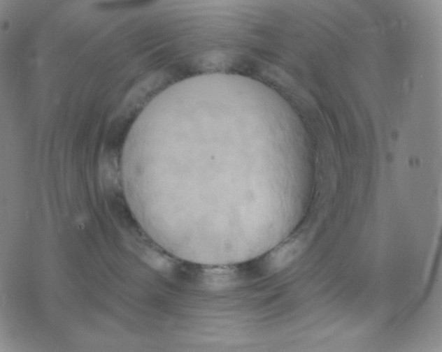 X0000076220240200610122058