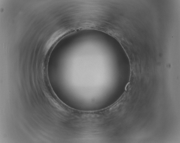 X0000076220242200610122057