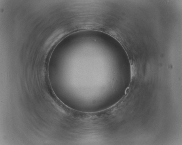 X0000076220243200610122057