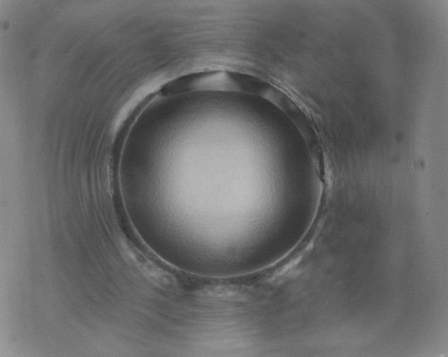 X0000076220244200610122057