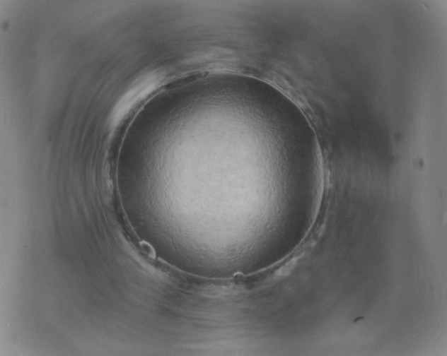 X0000076220245200610122057