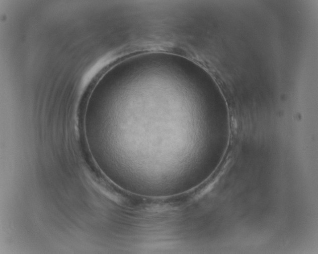 X0000076220246200610122057