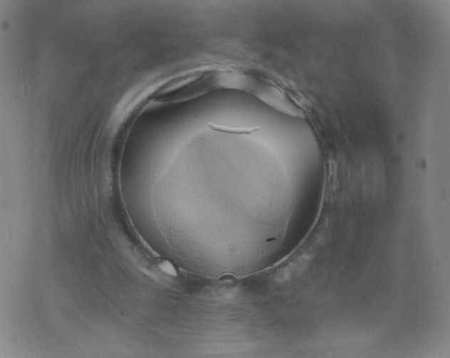 X0000076220247200610122057