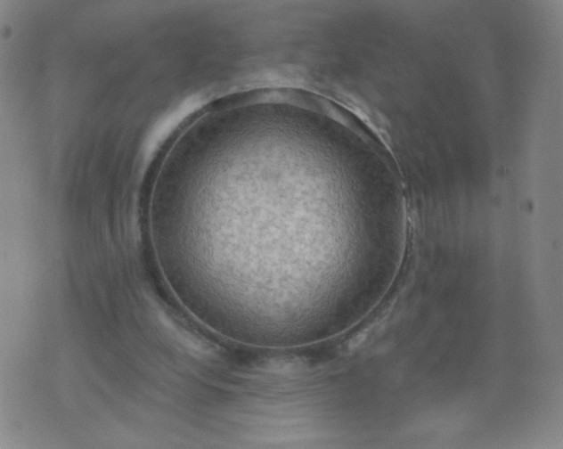 X0000076220248200610122057