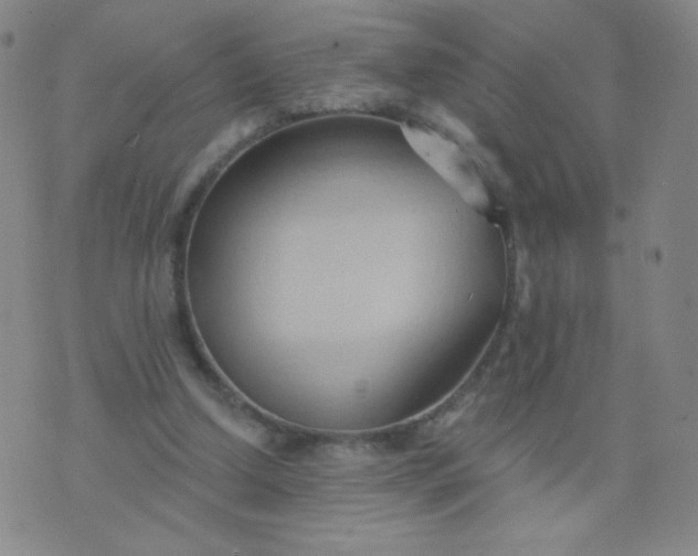 X0000076220250200610122057