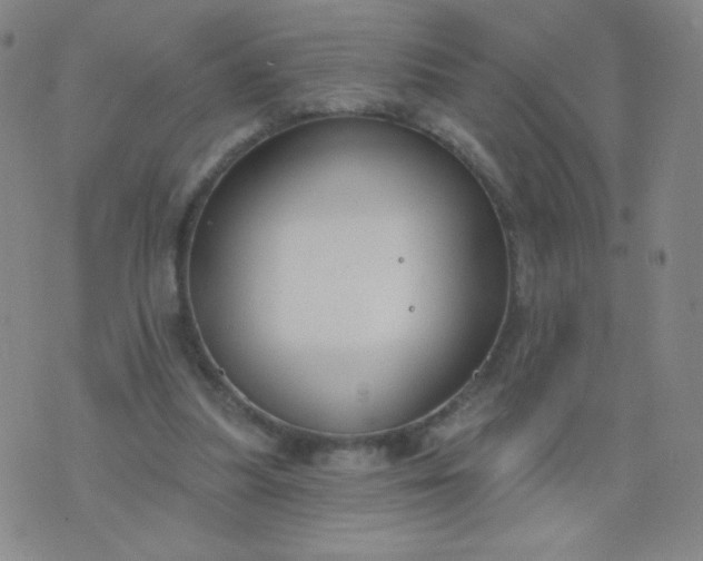 X0000076220251200610122057